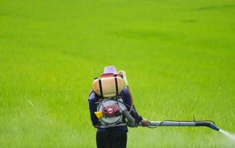 I pesticidi tossici, vietati in Europa, che esportiamo nel resto del mondo